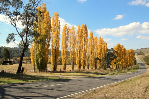3 Bells Alpine Cottage - Hotel QLD 20