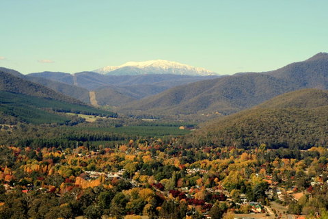 3 Bells Alpine Cottage - Hotel QLD 24
