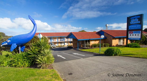 Blue Whale Motor Inn & Apartments - Hotel QLD 0