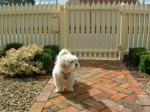 Sabina On Little Myers - Hotel QLD 24