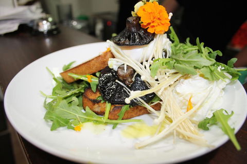 10 Hastings Street Motel - Hotel QLD 29
