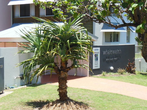 Whale Watch Ocean Beach Resort - Hotel QLD 15