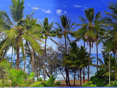 By The Sea Port Douglas - Hotel QLD 3