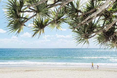Netanya Noosa Beachfront Resort - Hotel QLD 38