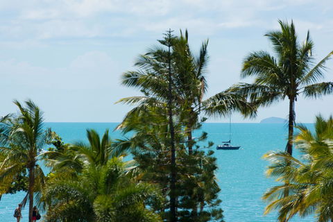 Heart Hotel And Gallery Whitsundays - Hotel QLD 13