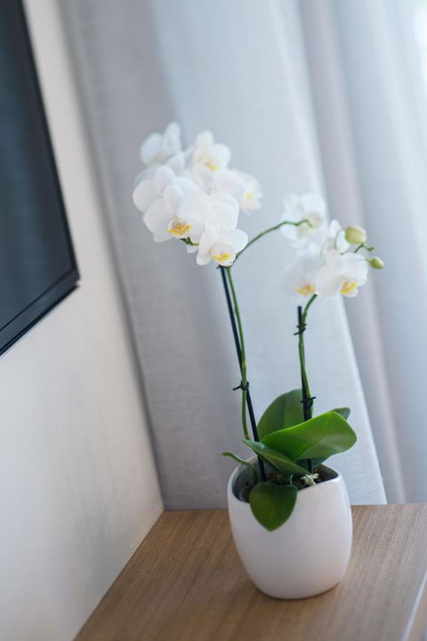 Heart Hotel And Gallery Whitsundays - Hotel QLD 28