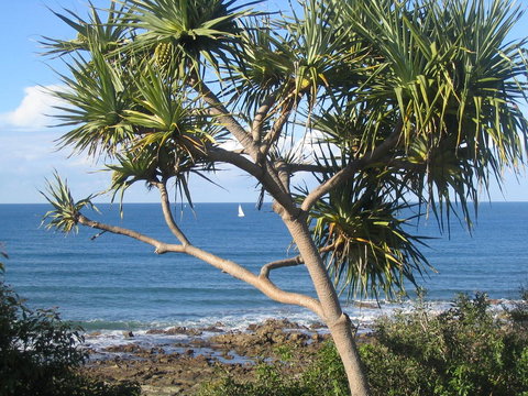 Headland Tropicana Resort - Hotel QLD 39