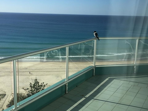 Ocean Plaza Resort - Hotel QLD 28