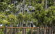 Daydream Island Resort - thumb 21