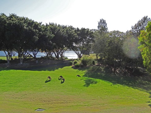 Waterfront Resort Villa With Buggy - Hotel QLD 32