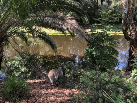 Waterfront Resort Villa With Buggy - Hotel QLD 25
