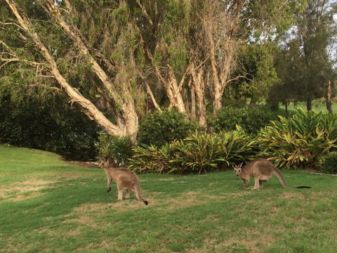 Waterfront Resort Villa With Buggy - Hotel QLD 19