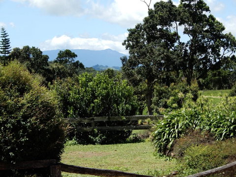 Malanda Manor Guesthouse - Hotel QLD 3