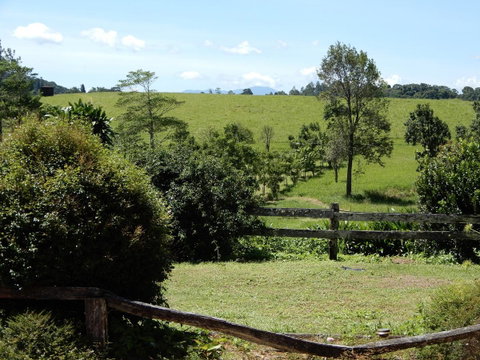 Malanda Manor Guesthouse - Hotel QLD 17