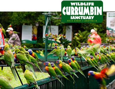 Private Guest Suite High On Currumbin Hill - Hotel QLD 19