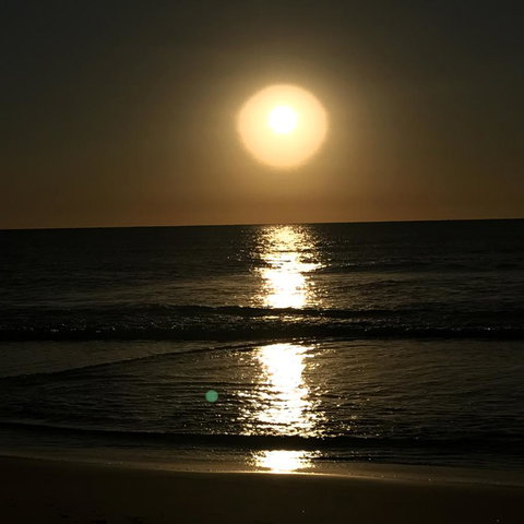 Meridian Alex Beach Apartments - Hotel QLD 9