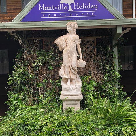 Montville Holiday Apartments - Hotel QLD 6