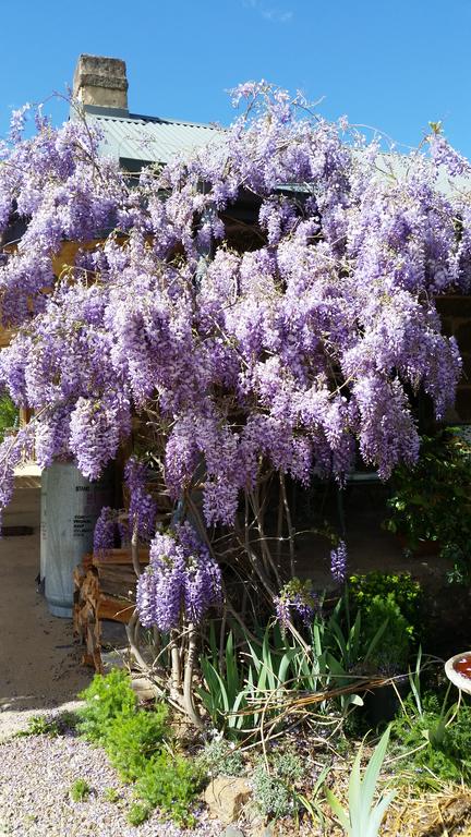 Woodvale At Cooma - Hotel QLD 3