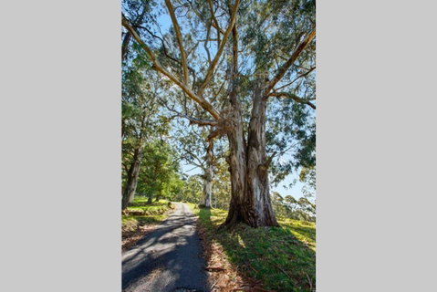 WOOLWAY - Hotel QLD 1