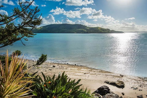 Yacht Club 19 Villa Bijou De Mer Ocean Front Private Pool 2 Buggies - Hotel QLD 1