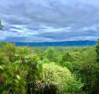 Daintree Manor BB - Hotel QLD