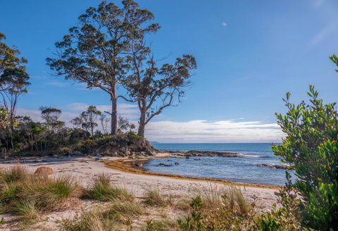Adventure Bay Holiday Home - Hotel QLD 12