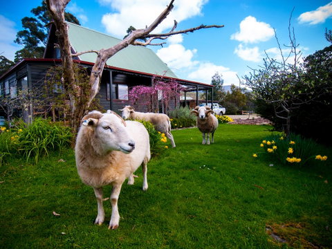 Parnella Adventure Bay, Bruny Island - Hotel QLD 19