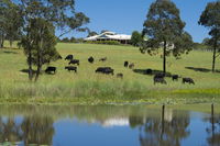 Book Nabiac Accommodation Vacations Hotel QLD Hotel QLD