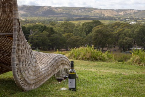 131 Your Vineyard Home In The Heart Of The Vale - Hotel QLD 0
