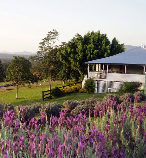 Dayboro - Blue Ridge Lavender Cottage - Hotel QLD 4