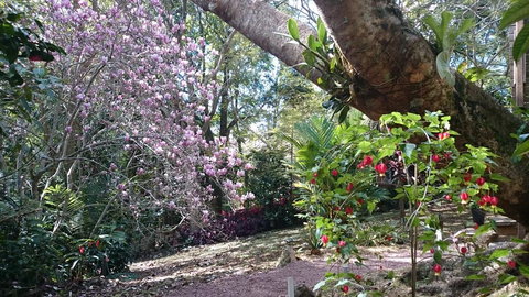 305 Montville - The Artist's Cottage - Hotel QLD 3