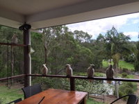 Book Gold Coast Accommodation Vacations Hotel QLD Hotel QLD