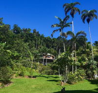 A Daintree Garden - Hotel QLD