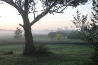Book Heyfield Accommodation Vacations Hotel QLD Hotel QLD