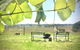 Galbraith Farmhouse South Burnett - thumb 0