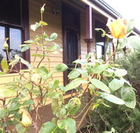 Albion Cottage - Hotel QLD
