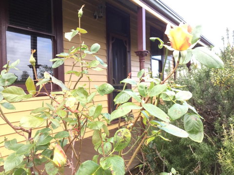Albion Cottage - Hotel QLD 0