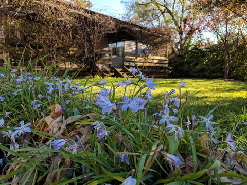 Alexander Cottage - Hotel QLD 3