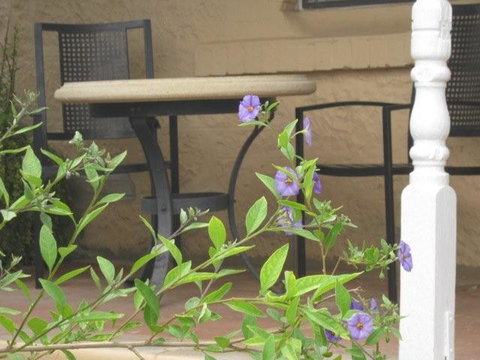 Amalie Cottage Waikerie - Hotel QLD 0