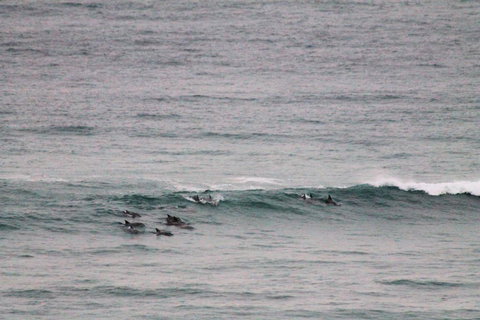 Apartment On King Street - Hotel QLD 1