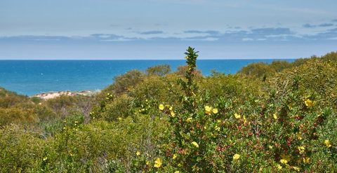 API Preston Beach Front Apartments - Hotel QLD 2