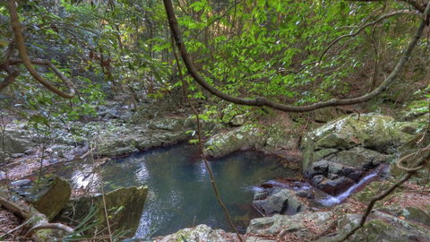 Lyola Pavilions In The Forest - Hotel QLD 2