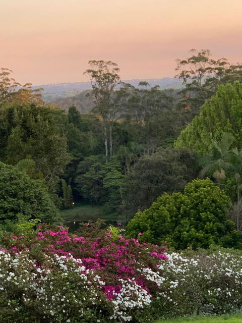 Montville Country Cabins - Hotel QLD 1