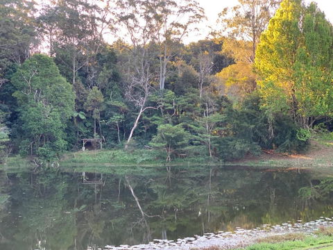 Montville Country Cabins - Hotel QLD 3