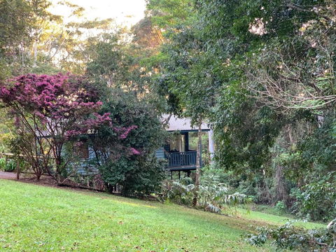 Montville Country Cabins - Hotel QLD 2