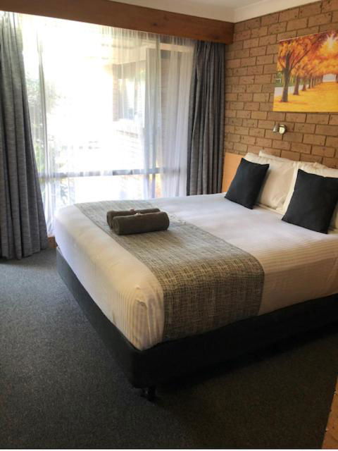 Muswellbrook Motor Inn - Hotel QLD 2