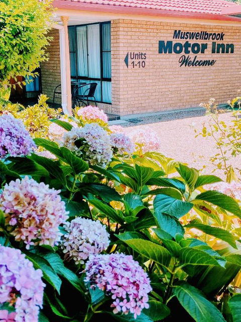 Muswellbrook Motor Inn - Hotel QLD 0