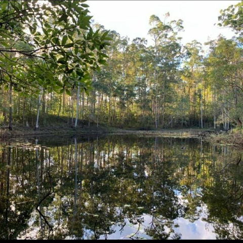 Oakey Creek Country Retreat Kenilworth - Hotel QLD 2