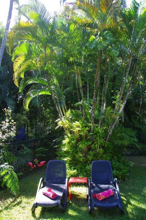 Pink Flamingo Resort - Hotel QLD 3