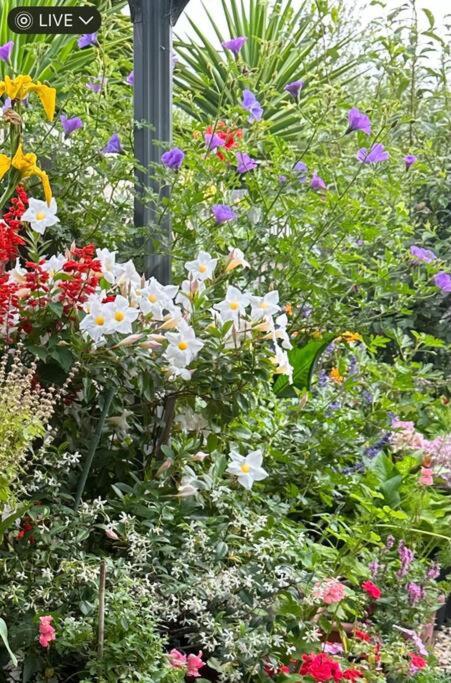 Quiet Comfort For Relaxing Stays - Hotel QLD 0